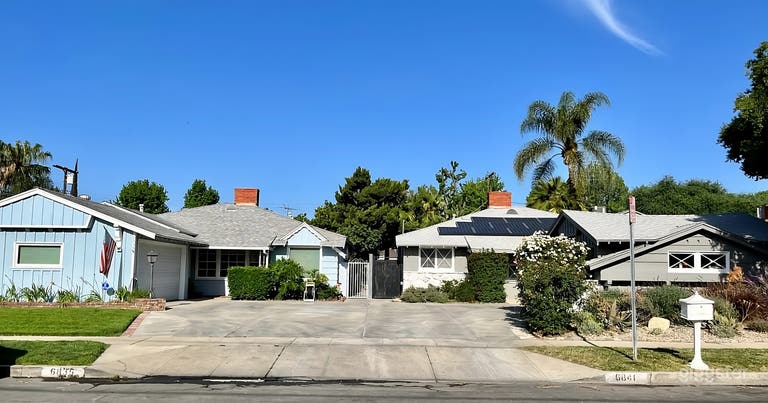  Sunny Backyard with Orange Tree 