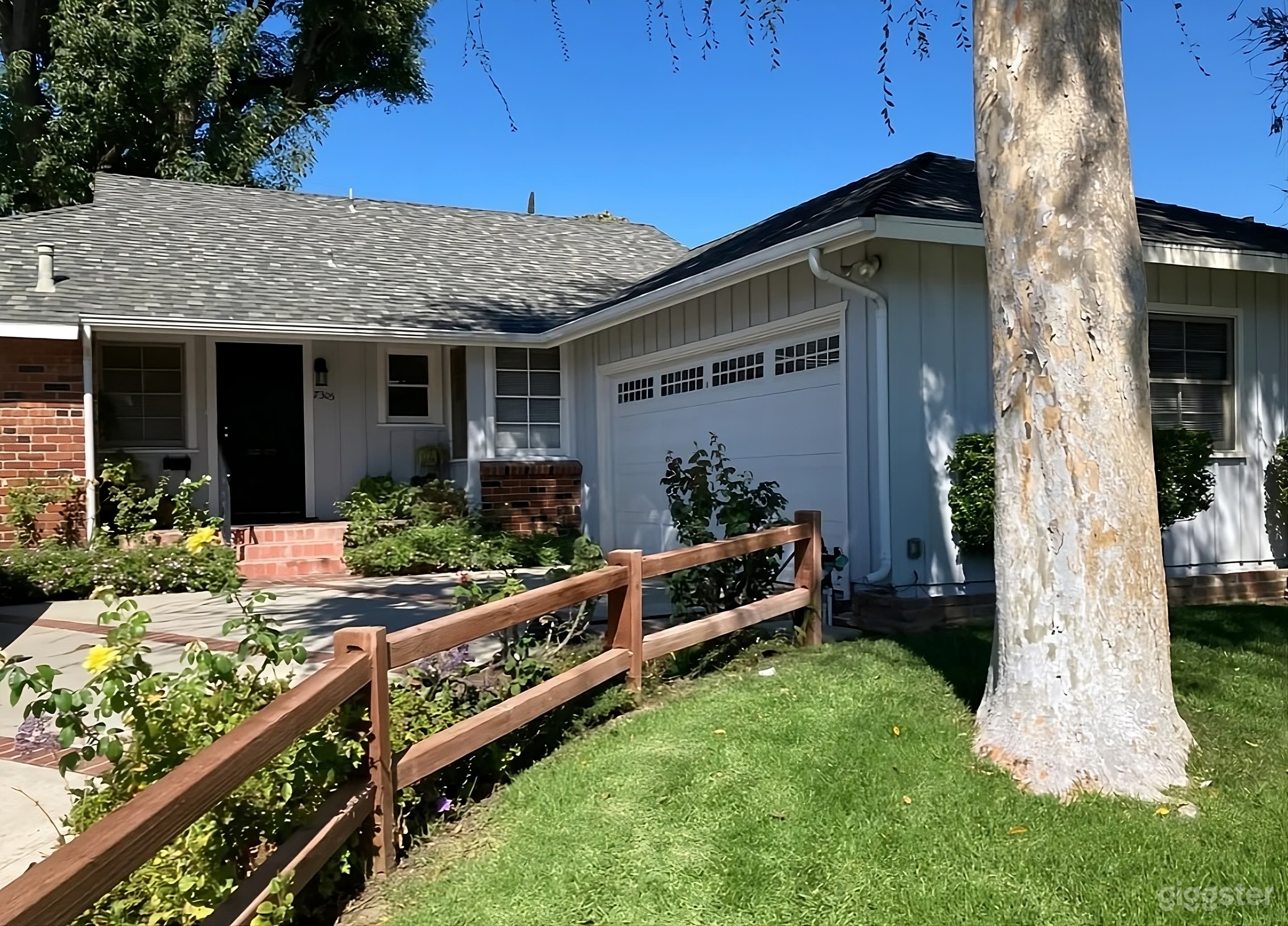 Lush Garden Backyard Oasis Photo 2