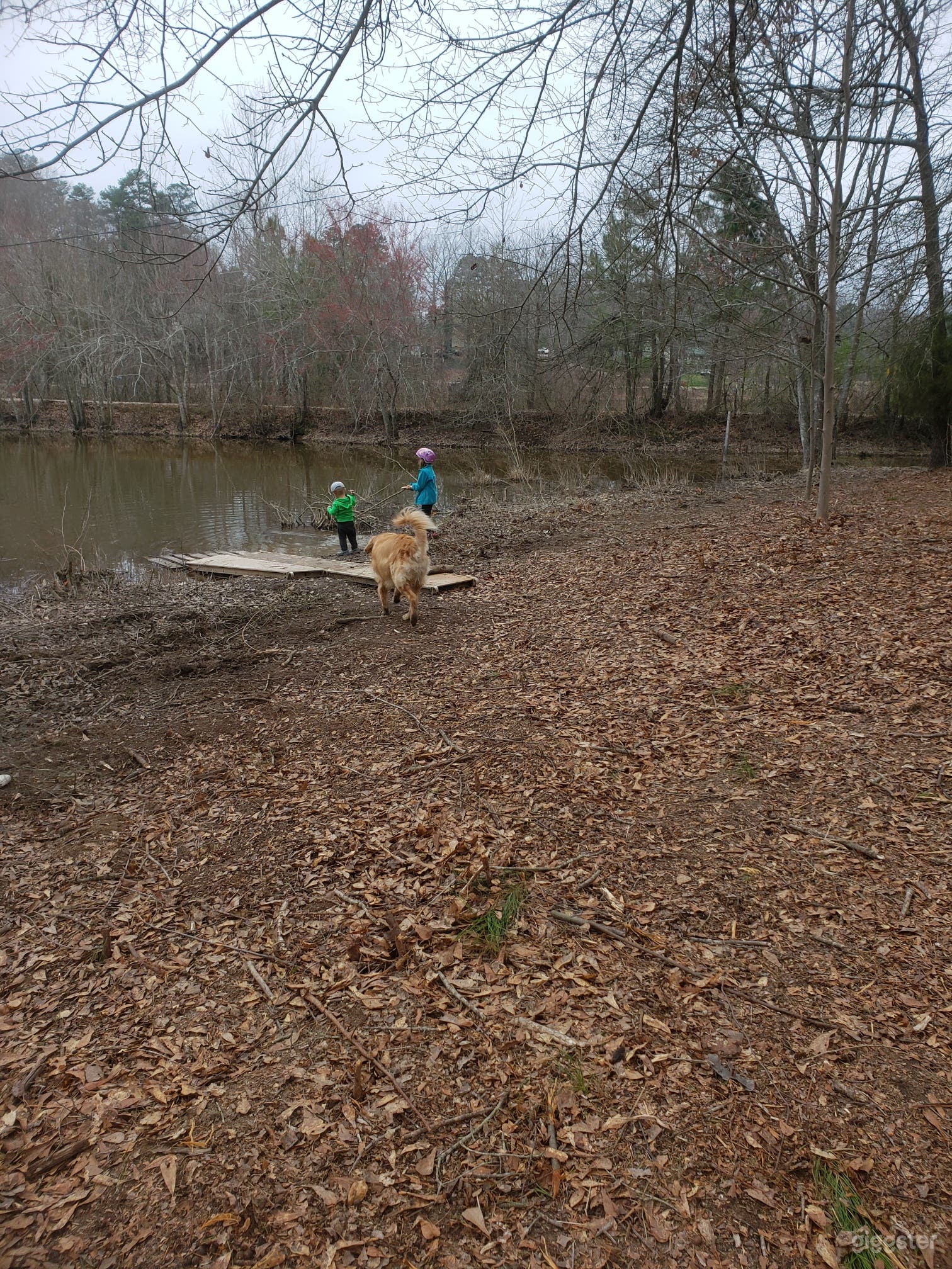 15 Acre Farm and Lake Photo 3