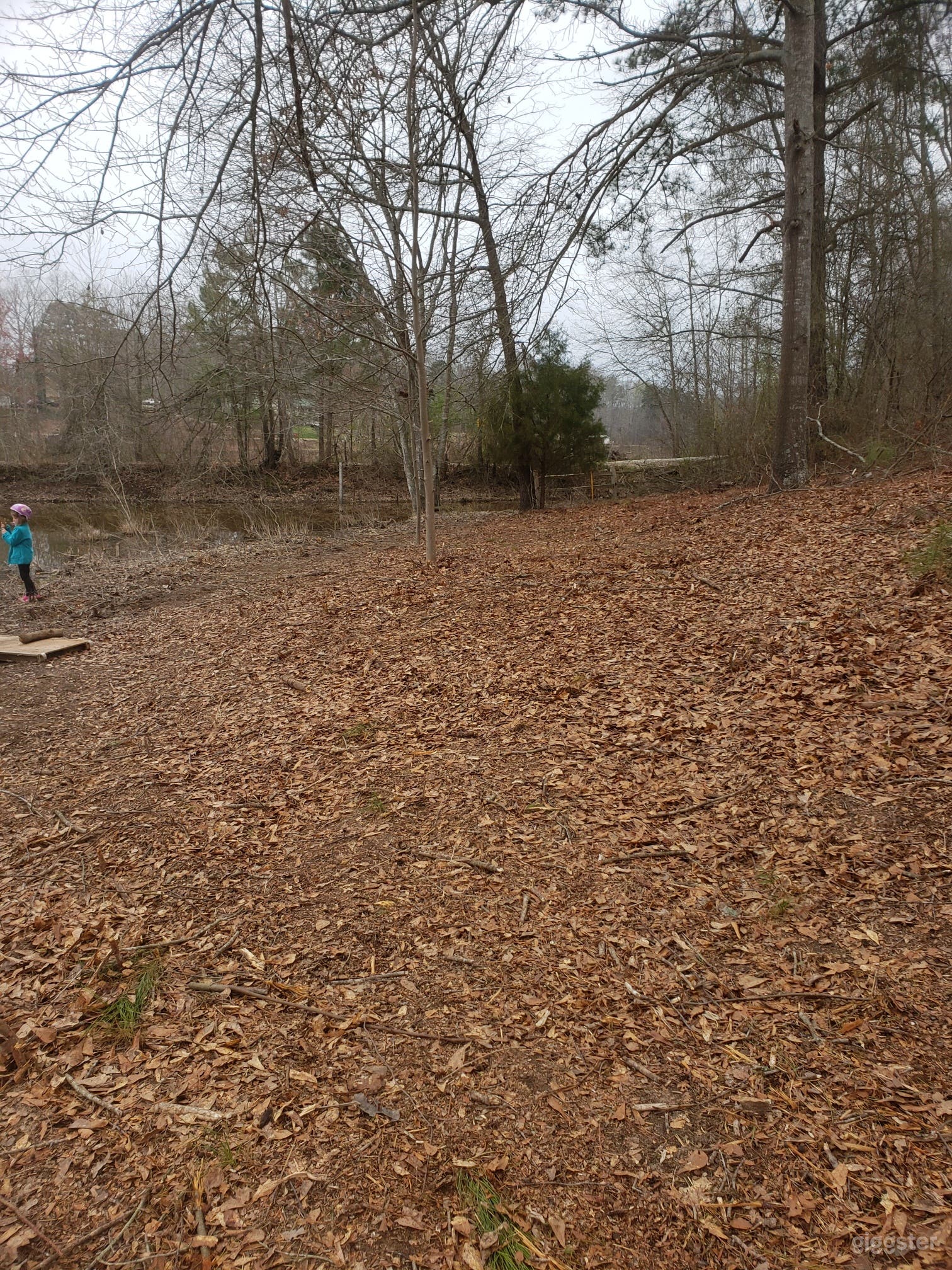 15 Acre Farm and Lake Photo 4