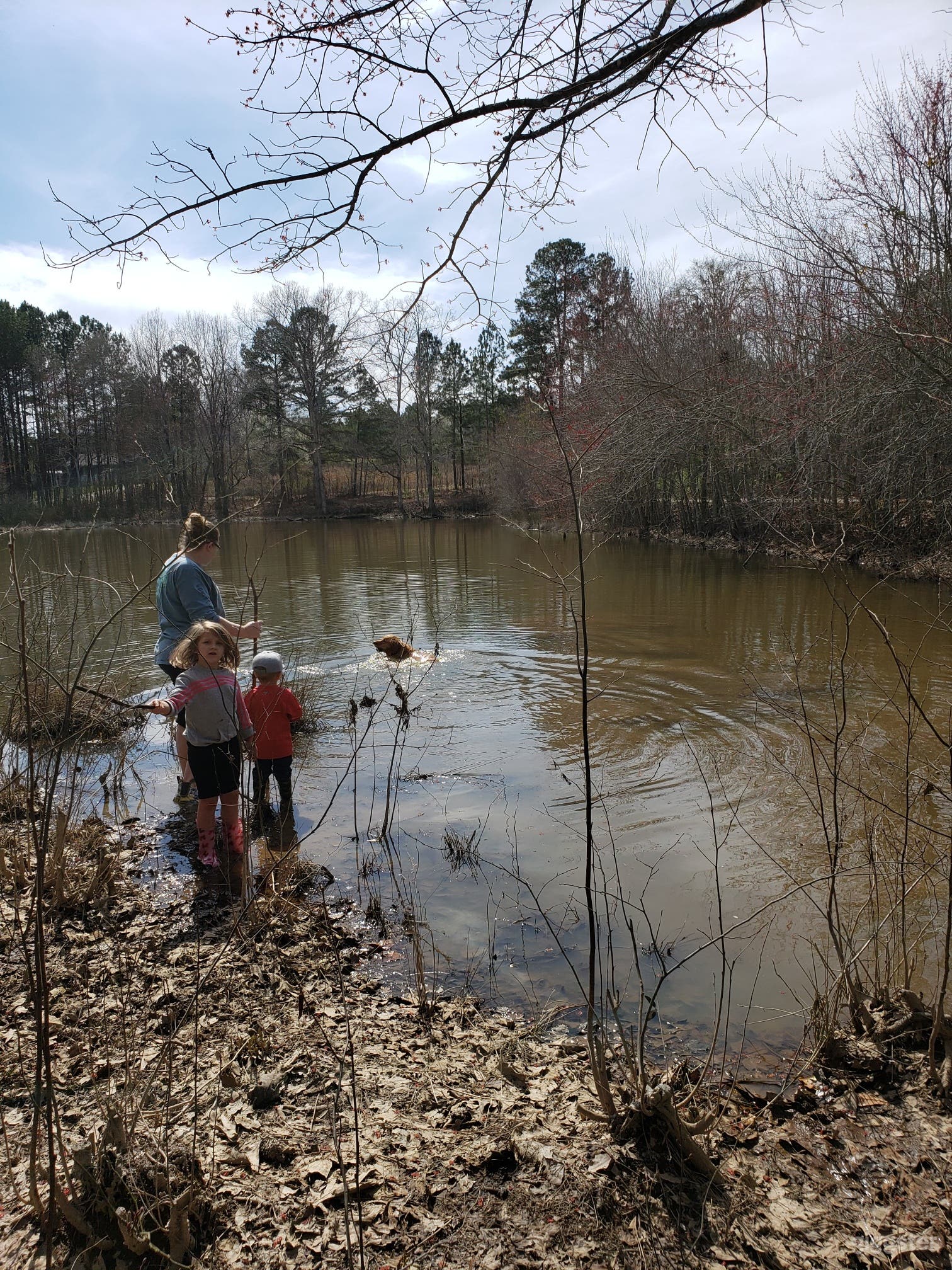 15 Acre Farm and Lake Photo 2
