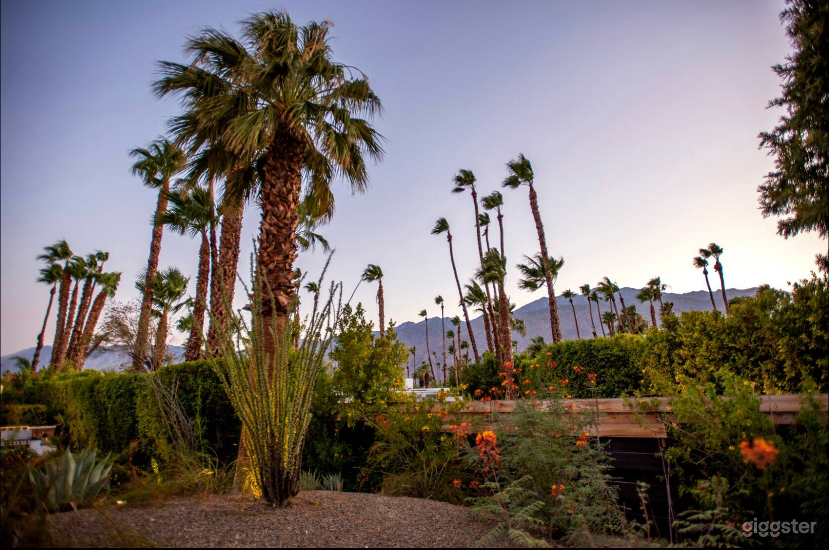 Back yard, no visible electrical  wires anywhere.