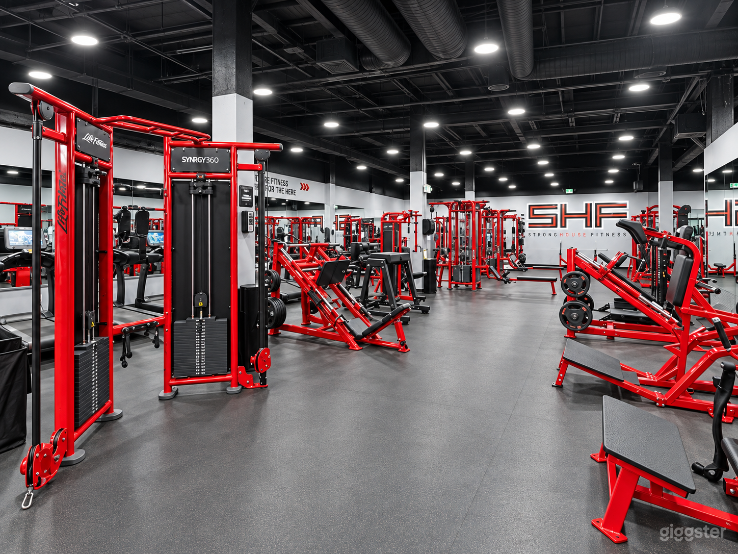 Premium Fitness Studio w/ Strength Equipment & Weightlifting Photo 4