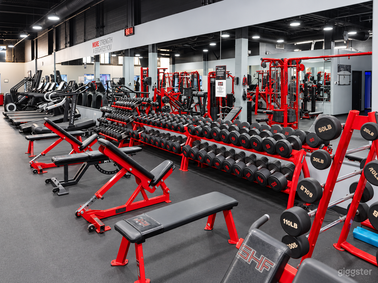 Premium Fitness Studio w/ Strength Equipment & Weightlifting Photo 3
