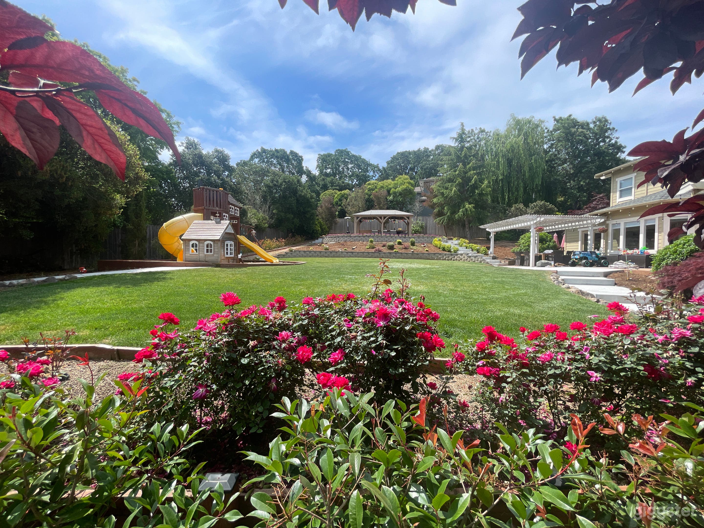 Full view of the backyard 