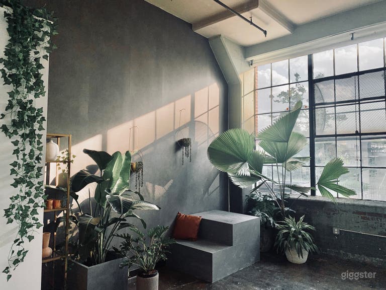  Stunning Modern Chic Photo | Film Studio  