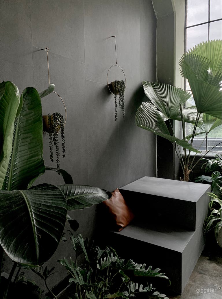  Stunning Modern Chic Photo | Film Studio  