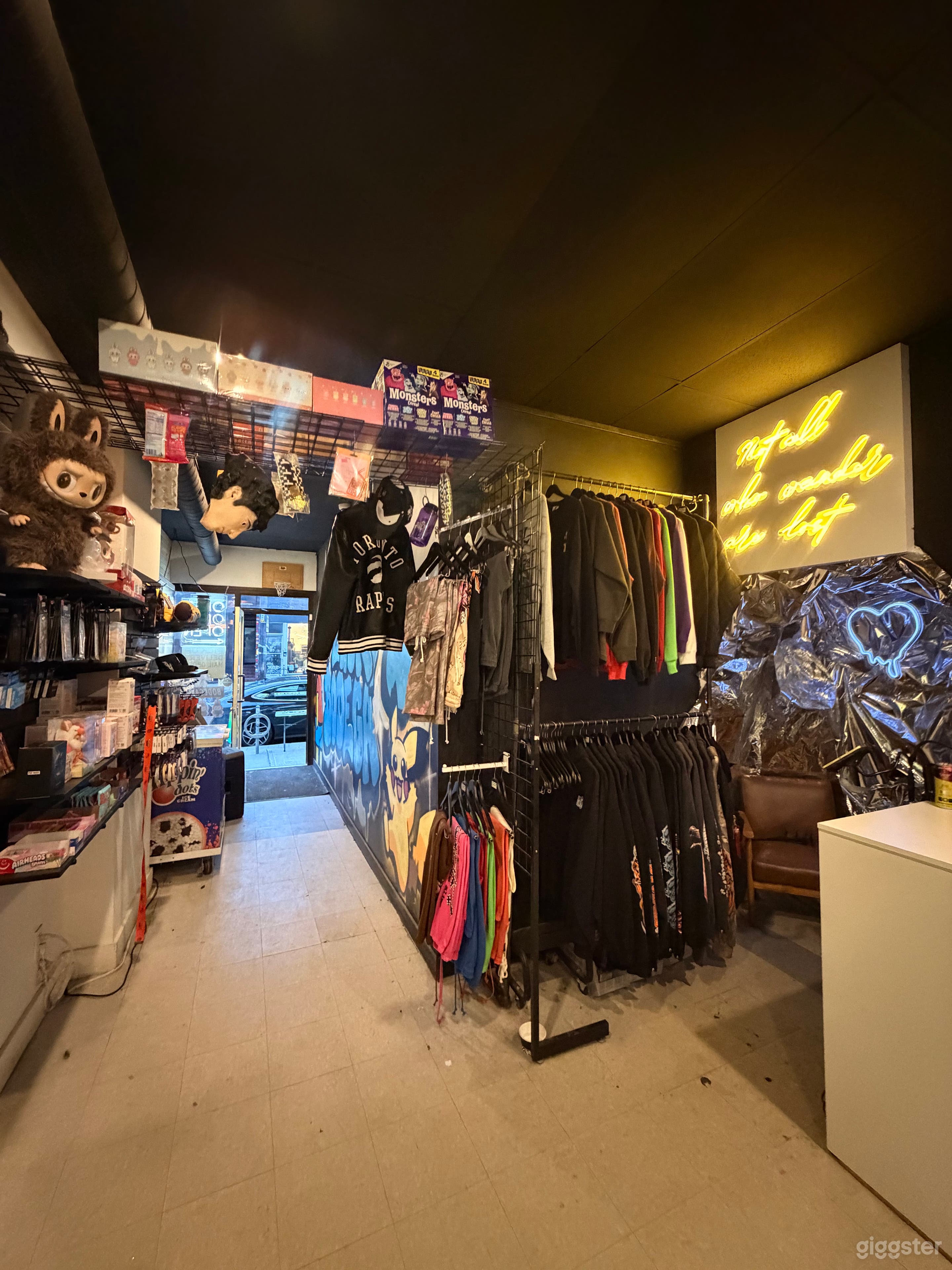 Exotic Snack/Clothing Store in Downtown Toronto! Photo 2