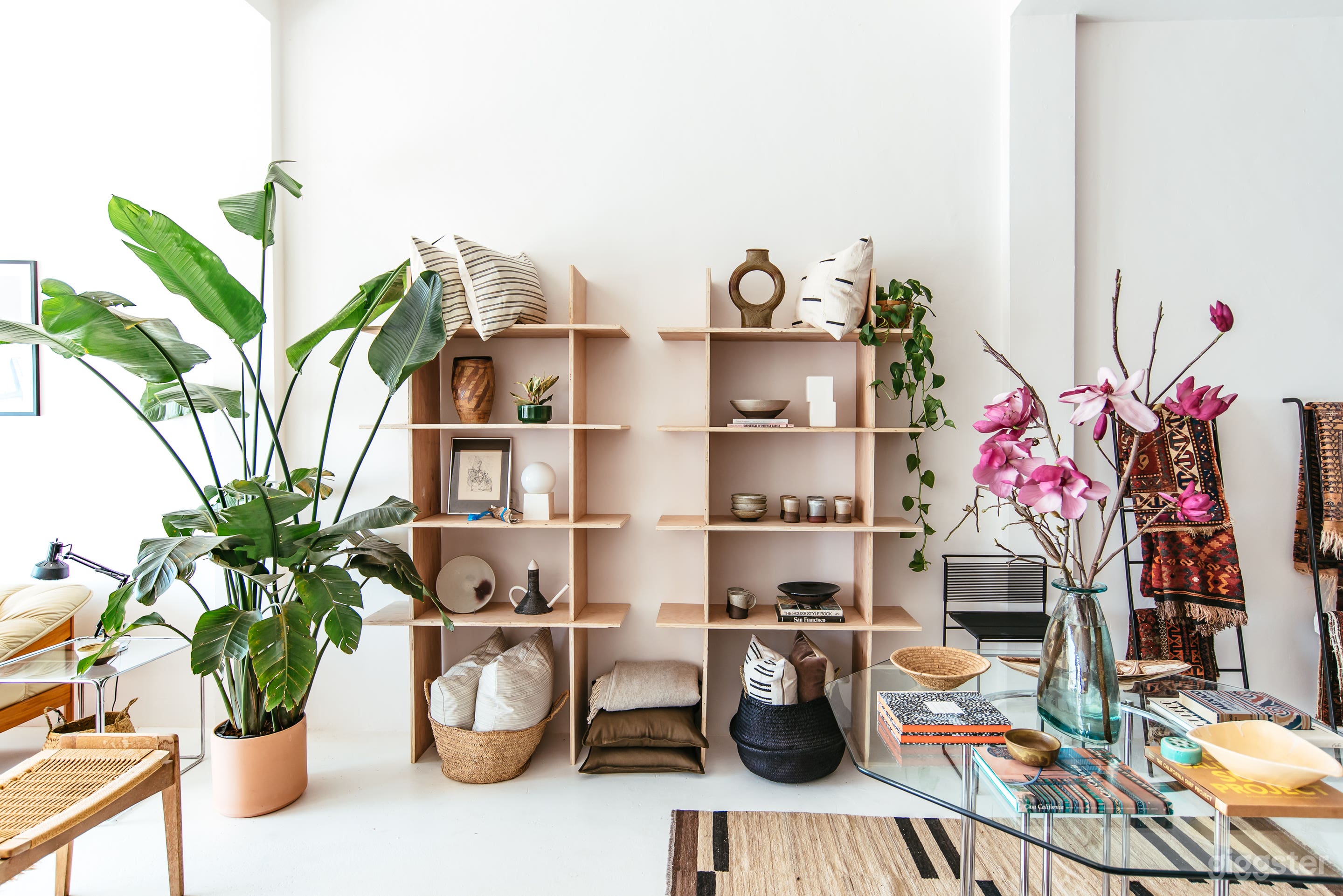 FIELD THEORY Photo 1