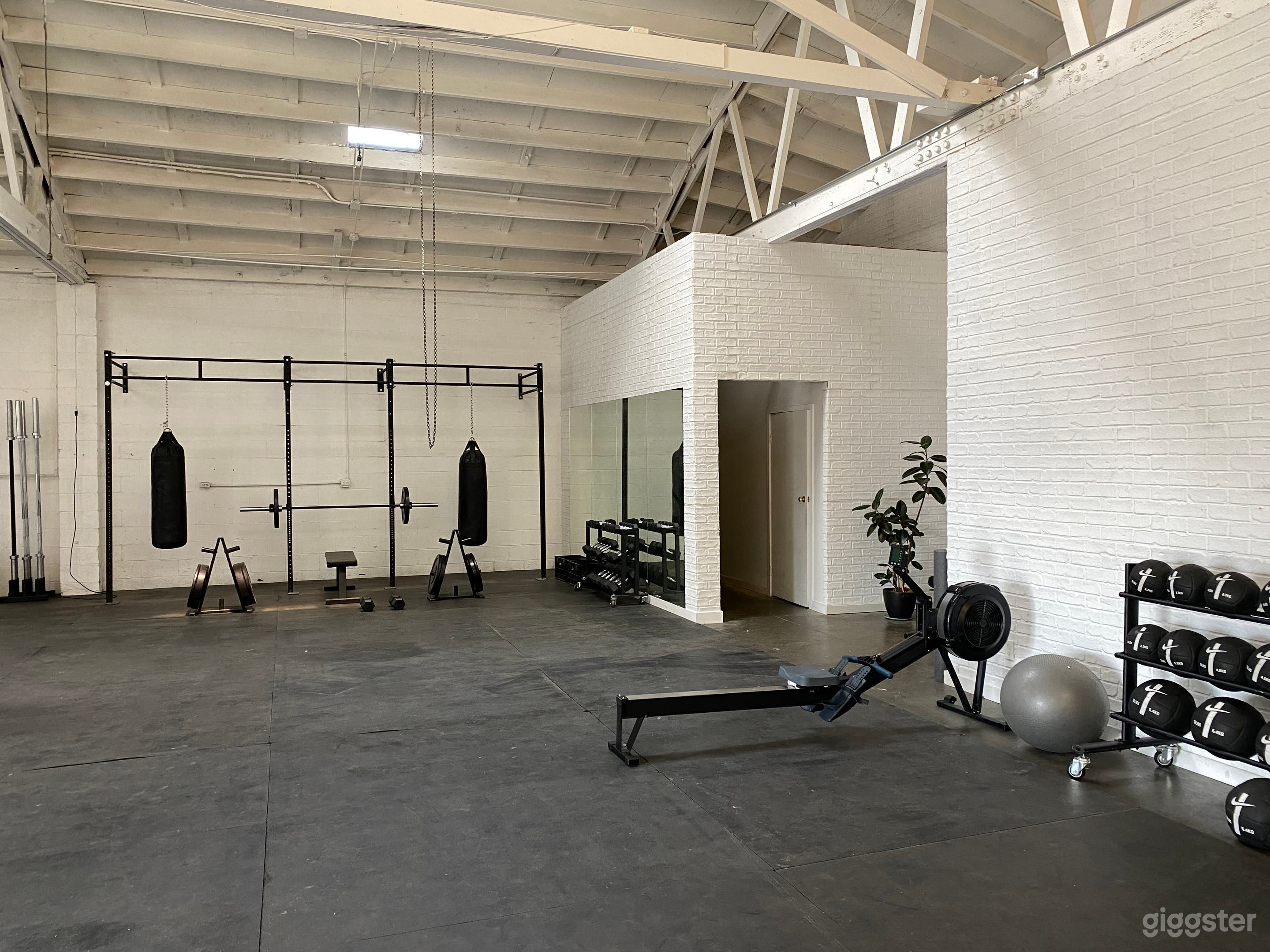 Private Gym/Versatile Studio: Weights/Boxing/Yoga Photo 4