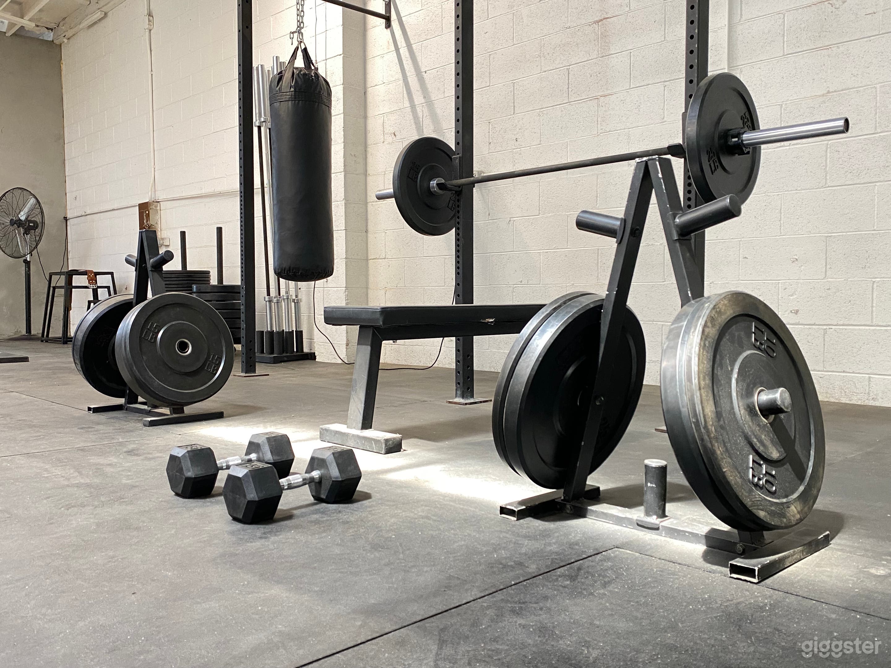 Private Gym/Versatile Studio: Weights/Boxing/Yoga Photo 3