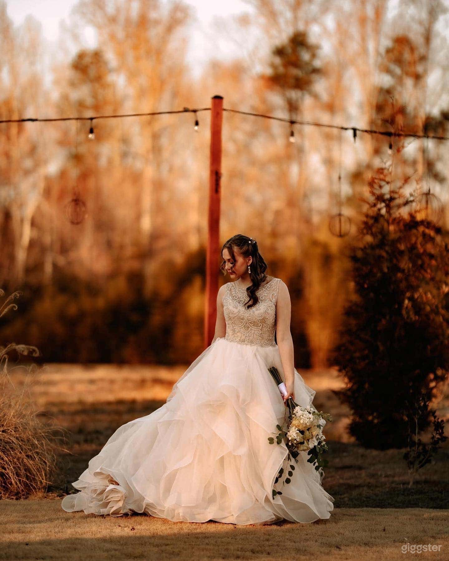 Picturesque Vineyard  Photo 3