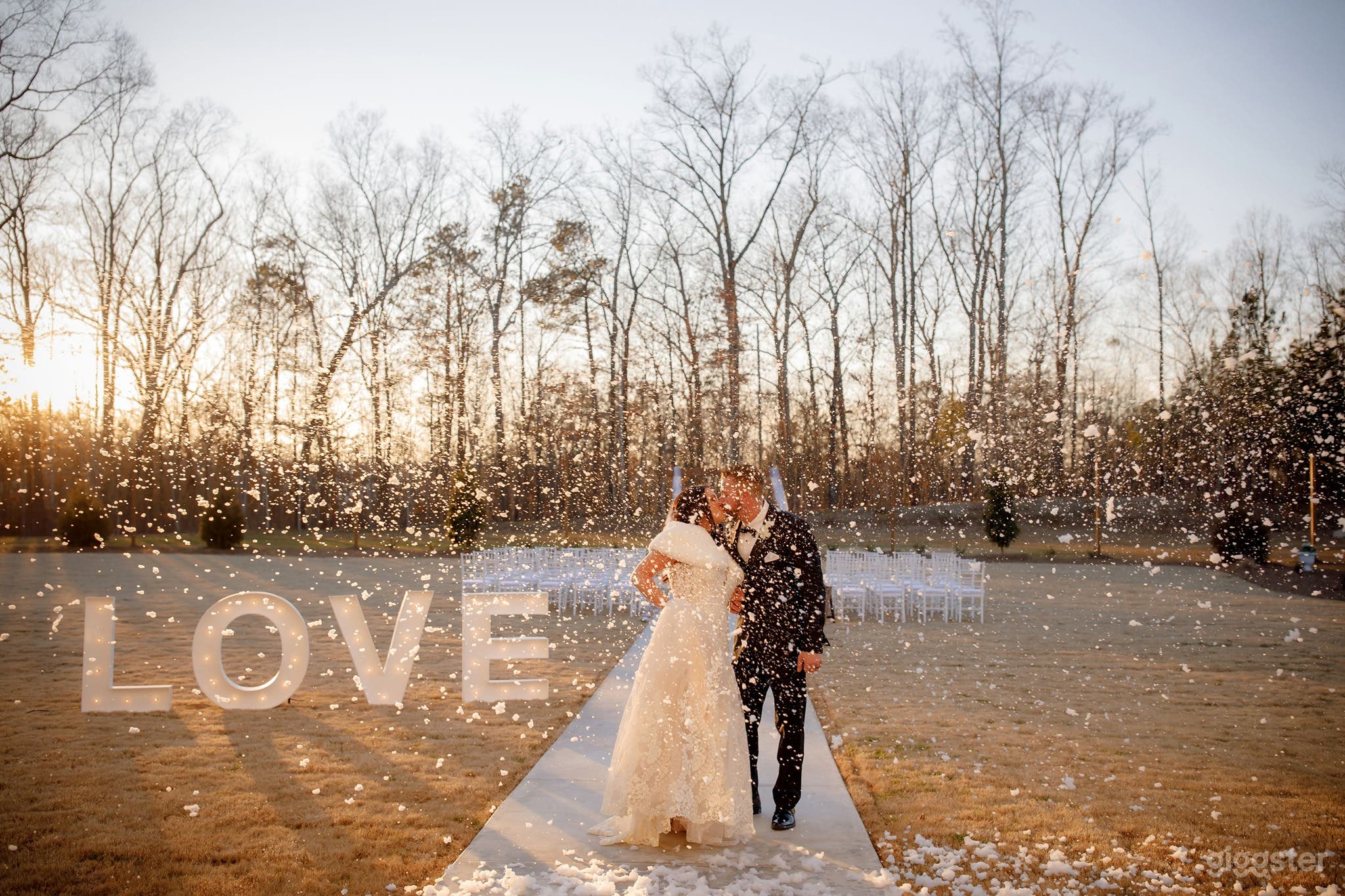 Picturesque Vineyard  Photo 2