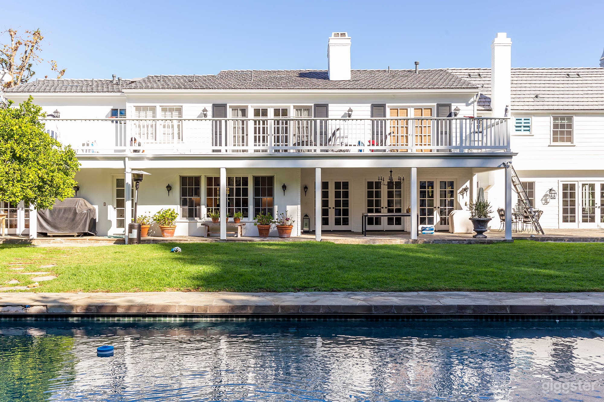 White Rose Americana Photo 1