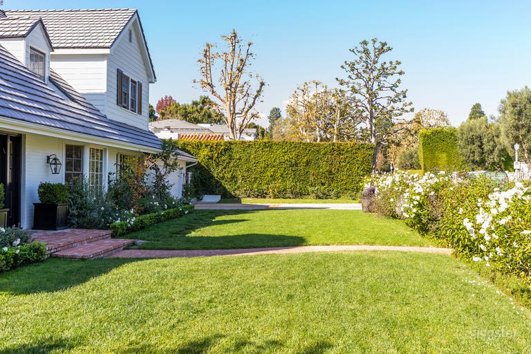  White Rose Americana 