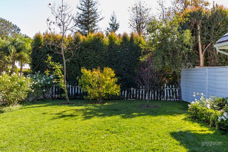  White Rose Americana 