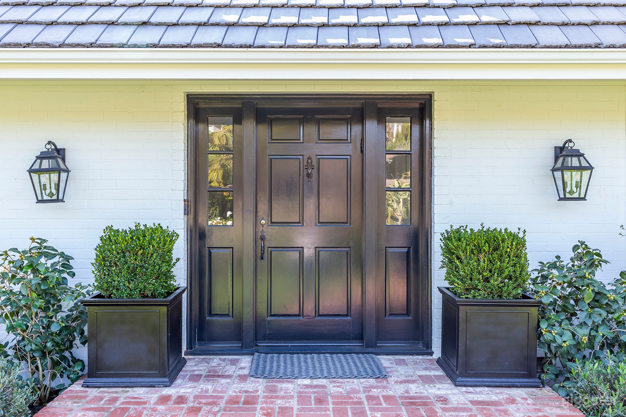 White Rose Americana Photo 3