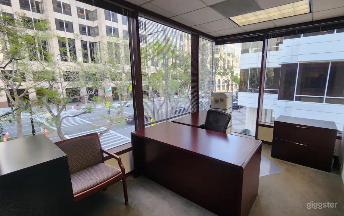 Private office spaces with natural light Photo 1