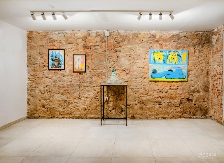  Beautiful Art Gallery and Multifunctional Space 