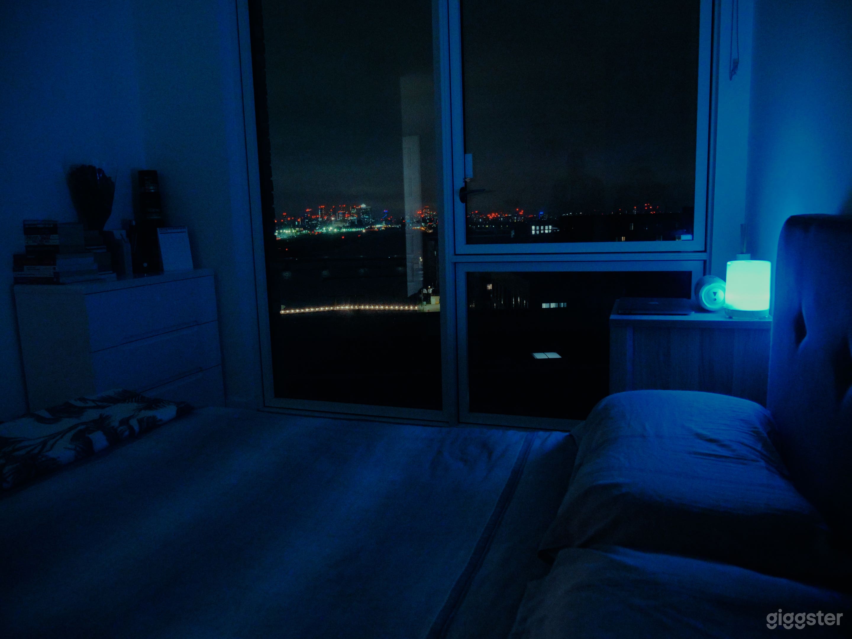 London City Airport Penthouse Photo 3