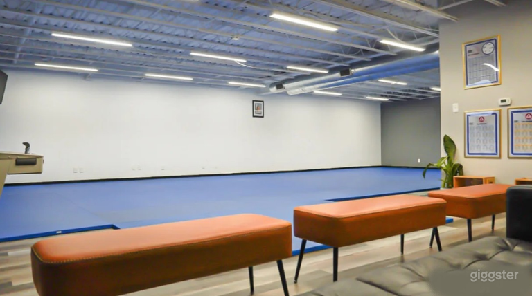  Modern Martial Arts & Fitness Studio 