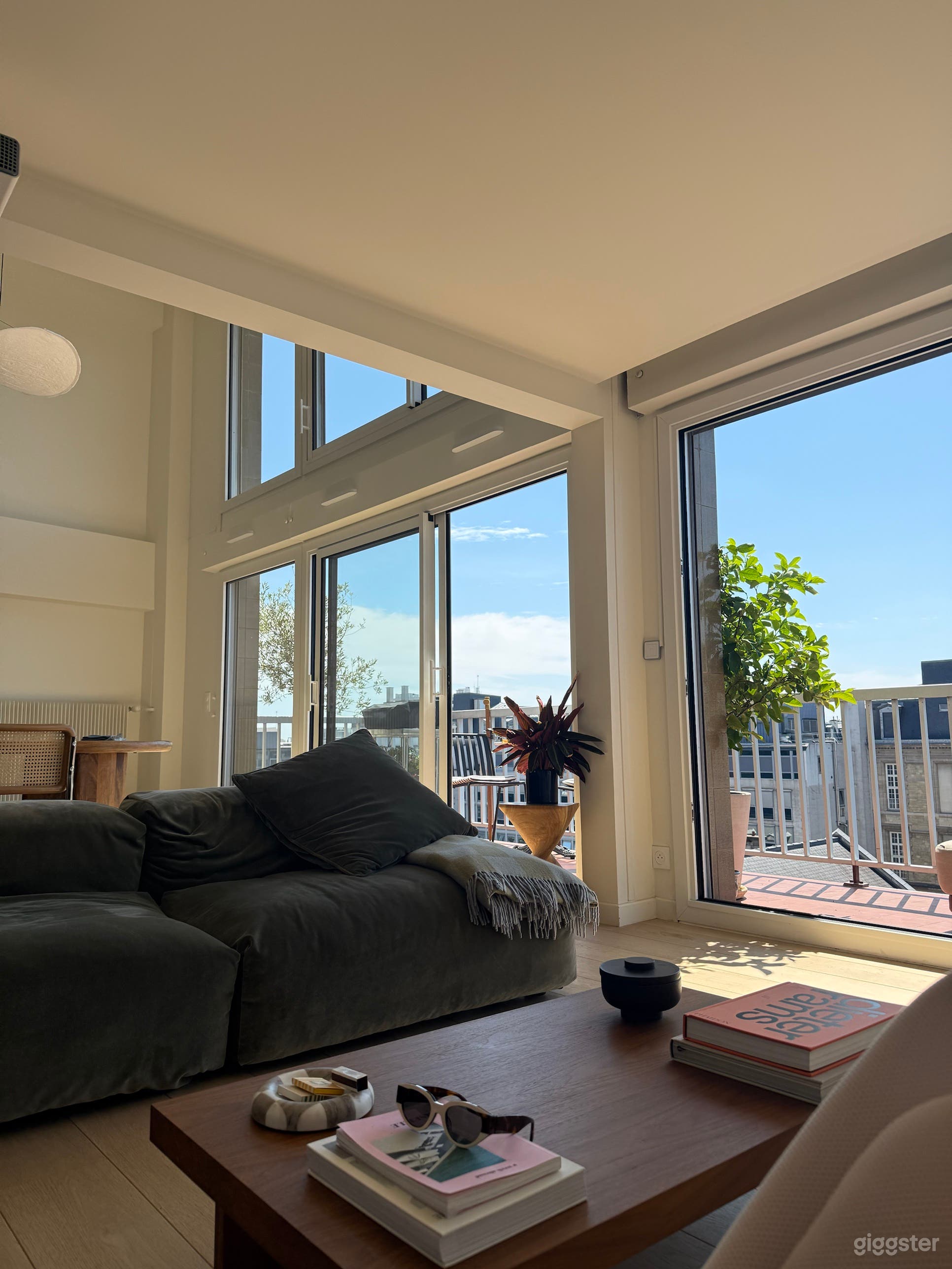 Photo de Loft d'architecte double hauteur, terrasse et vue 4