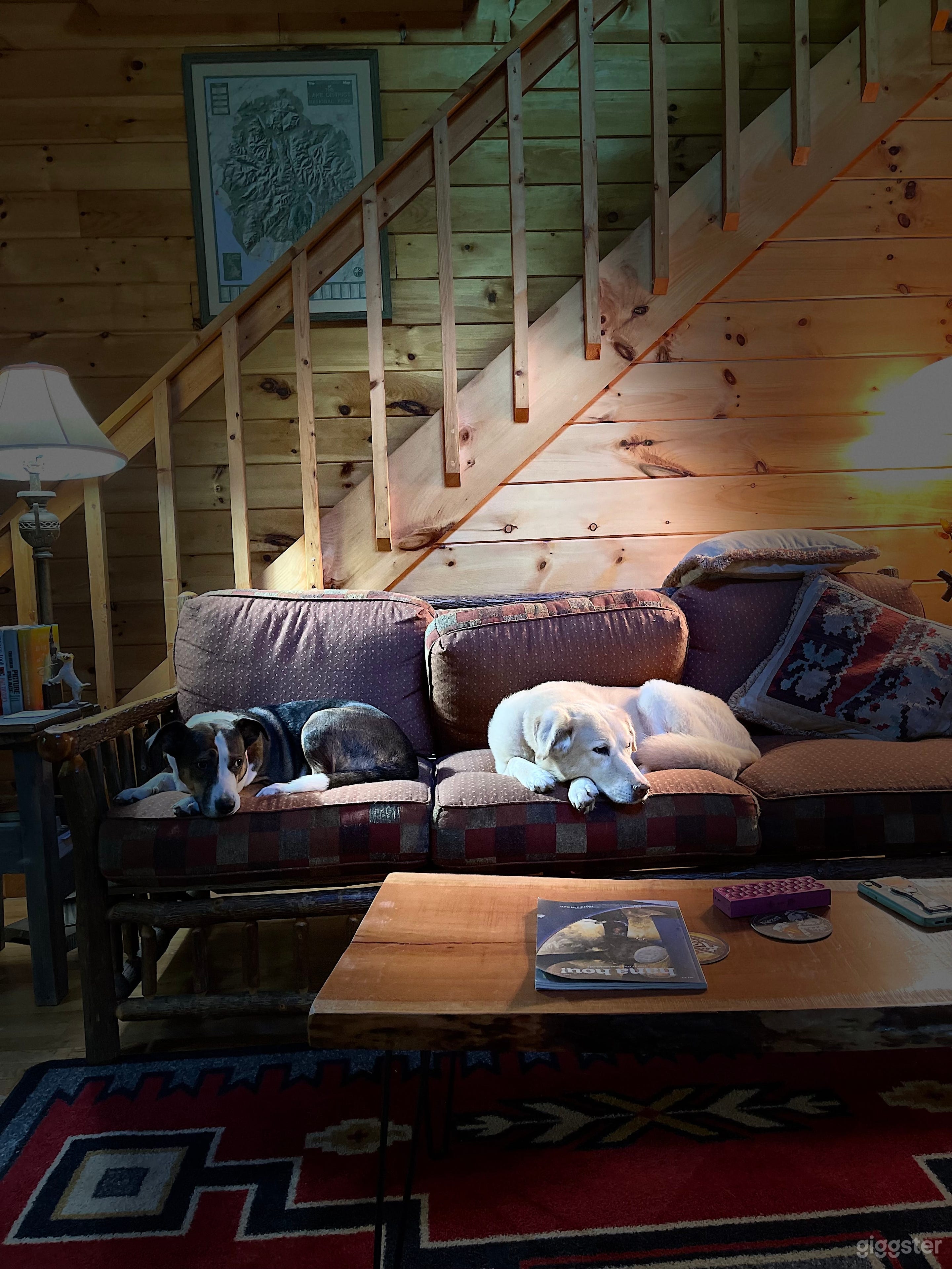 Cabin on 6 wooded secluded acres Photo 1