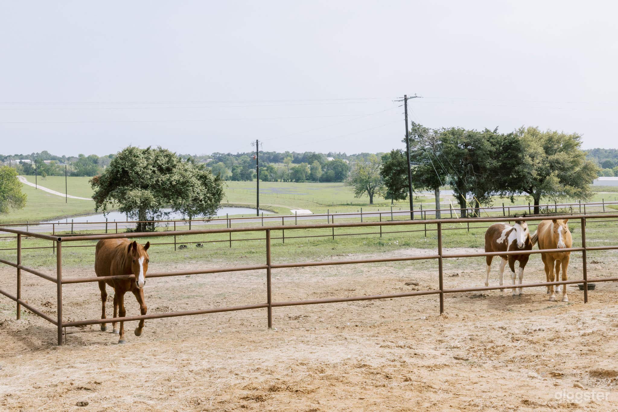 Designer Horse Farm with Views and High End Lodge Photo 1