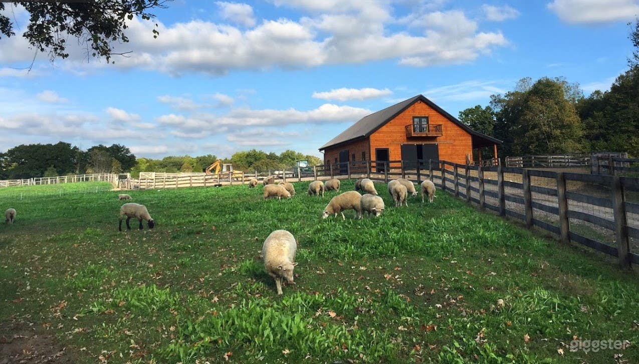 Pasture Barn Event Space in Chelsea Photo 3
