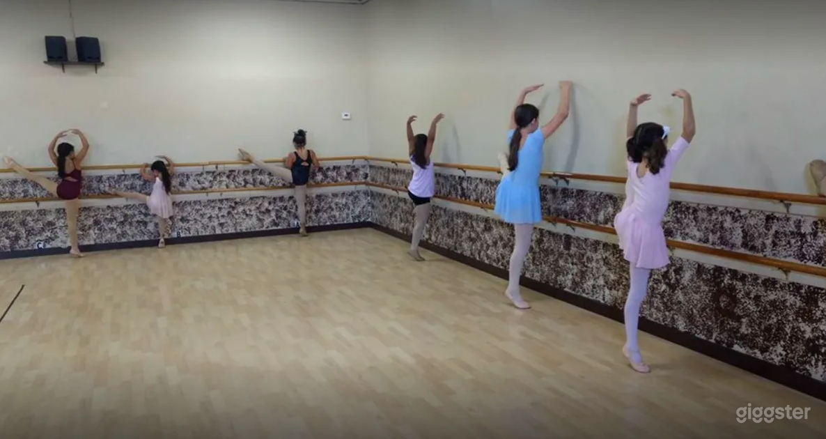 Centrally Located Dance Studio with Hardwood Floors Photo 4