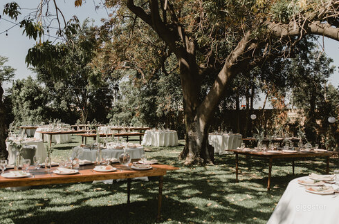 Spanish-Style Hidden Gem Photo 1