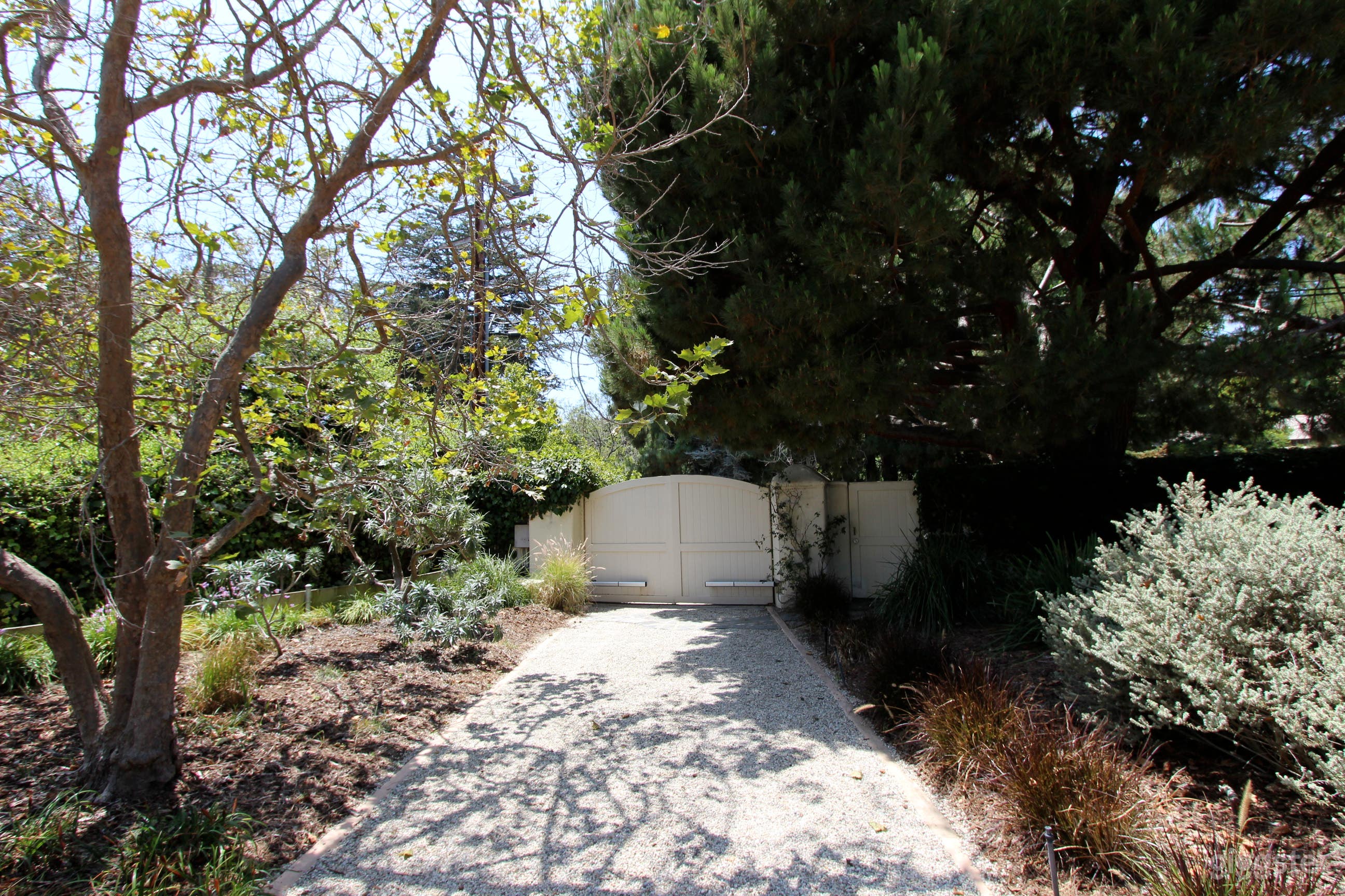 Supreme Adobe  Photo 3