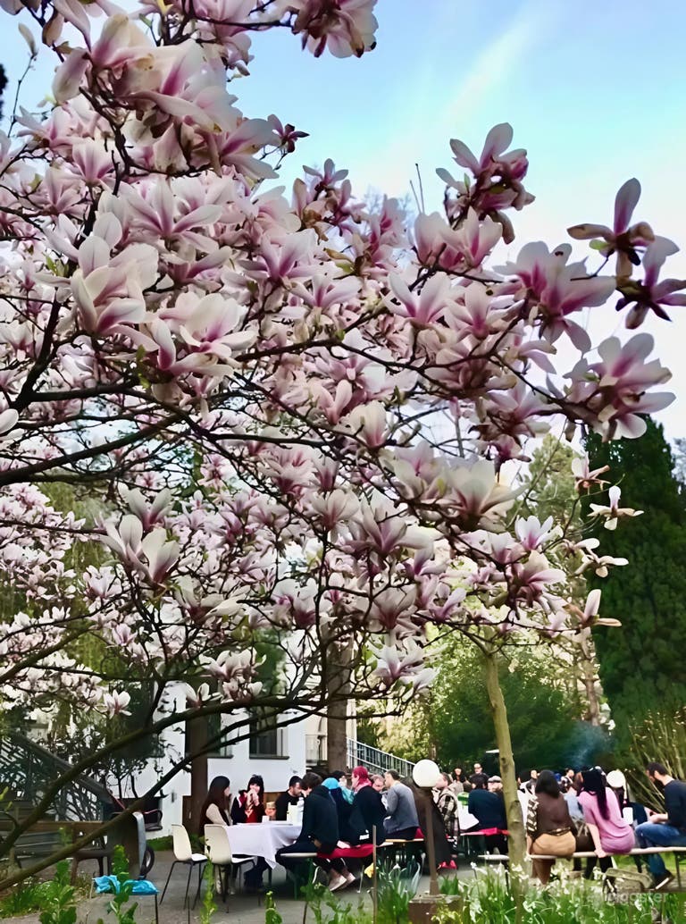  Kreativer Veranstaltungsraum mit Garten im Treptower Park (geheim) 