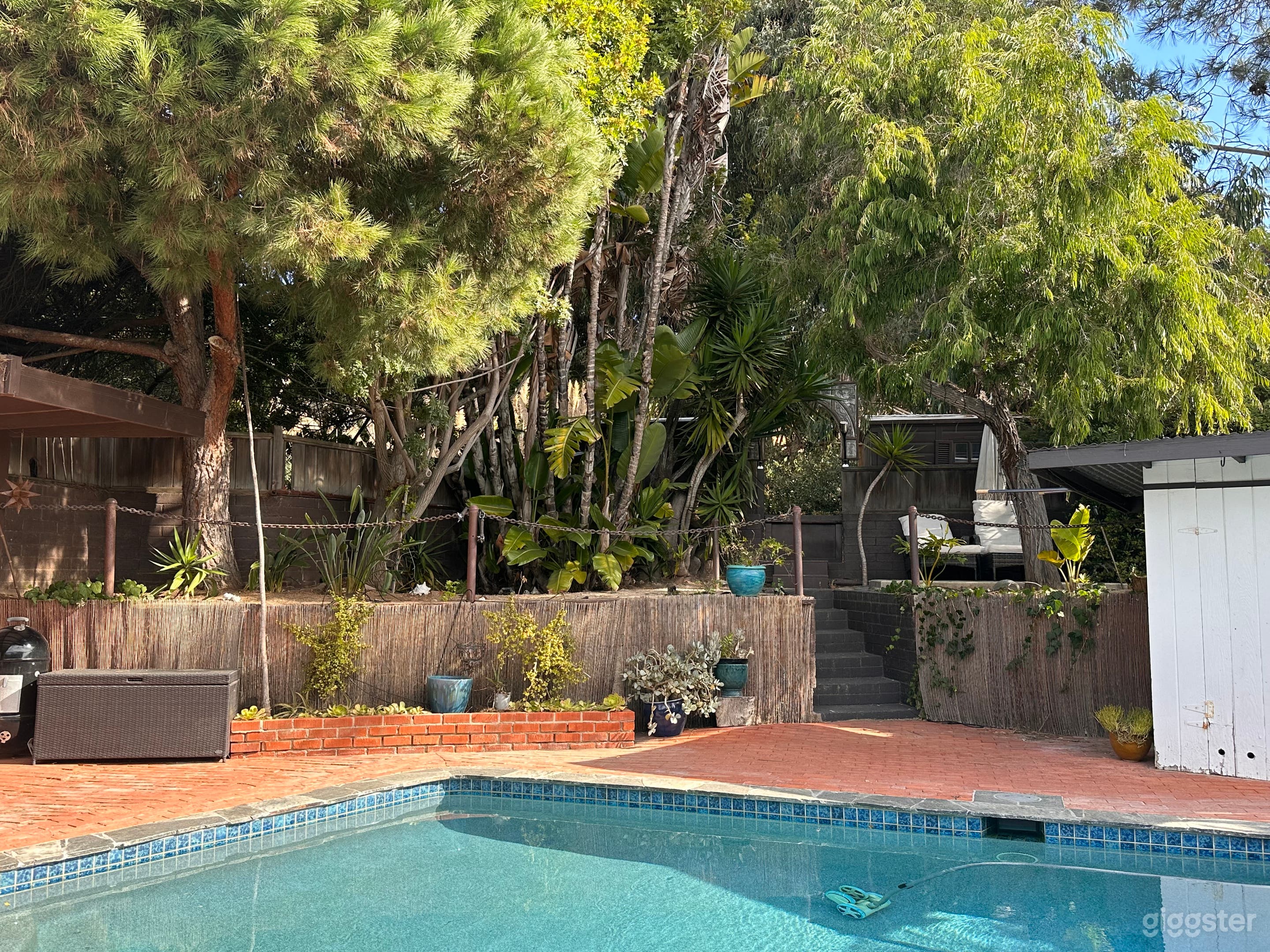 Tropical Outdoor Pool + Nature Photo 4