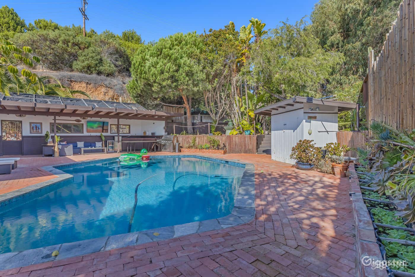 Tropical Outdoor Pool + Nature Photo 2