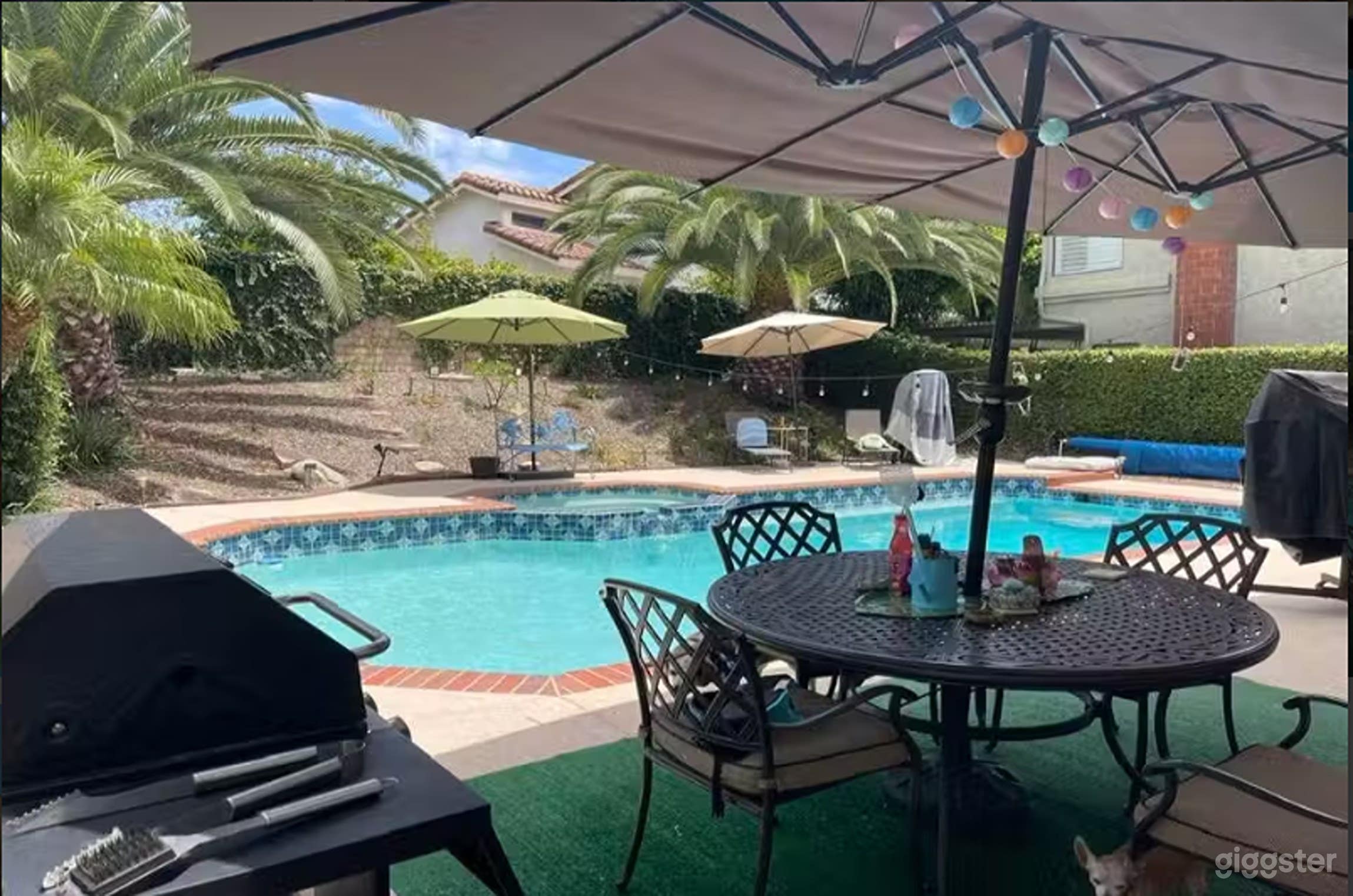 Pool, Tail-Wagging Retreat for Your Fur Babies Photo 1