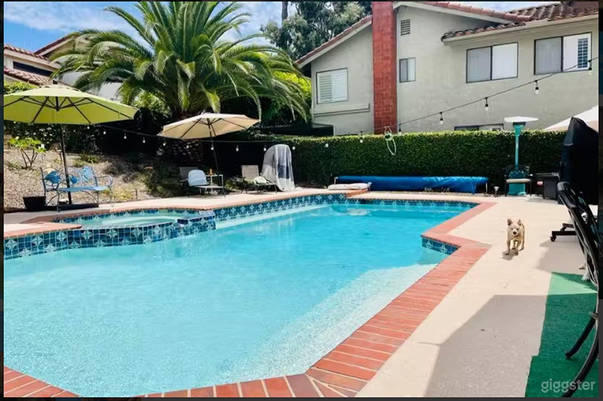 Pool, Tail-Wagging Retreat for Your Fur Babies Photo 2