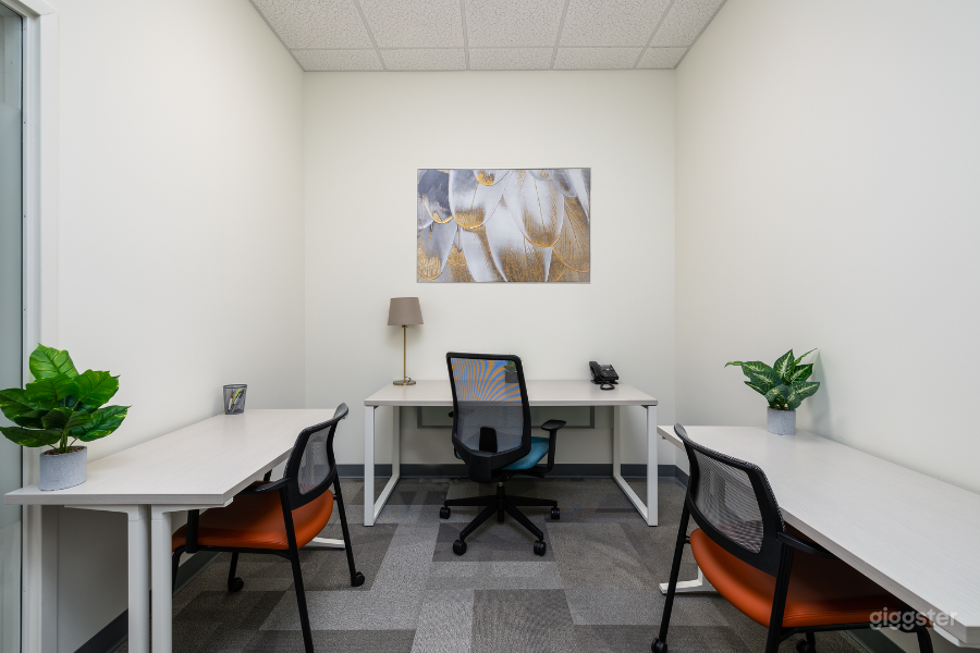 Professional Exurban Day Office  Photo 2