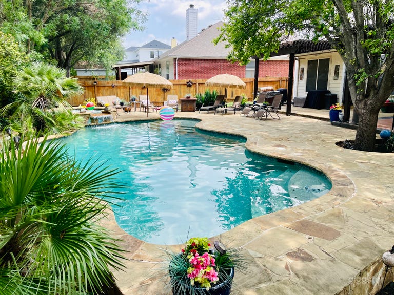  Vista de la piscina en el Oasis Tropical🌺! 