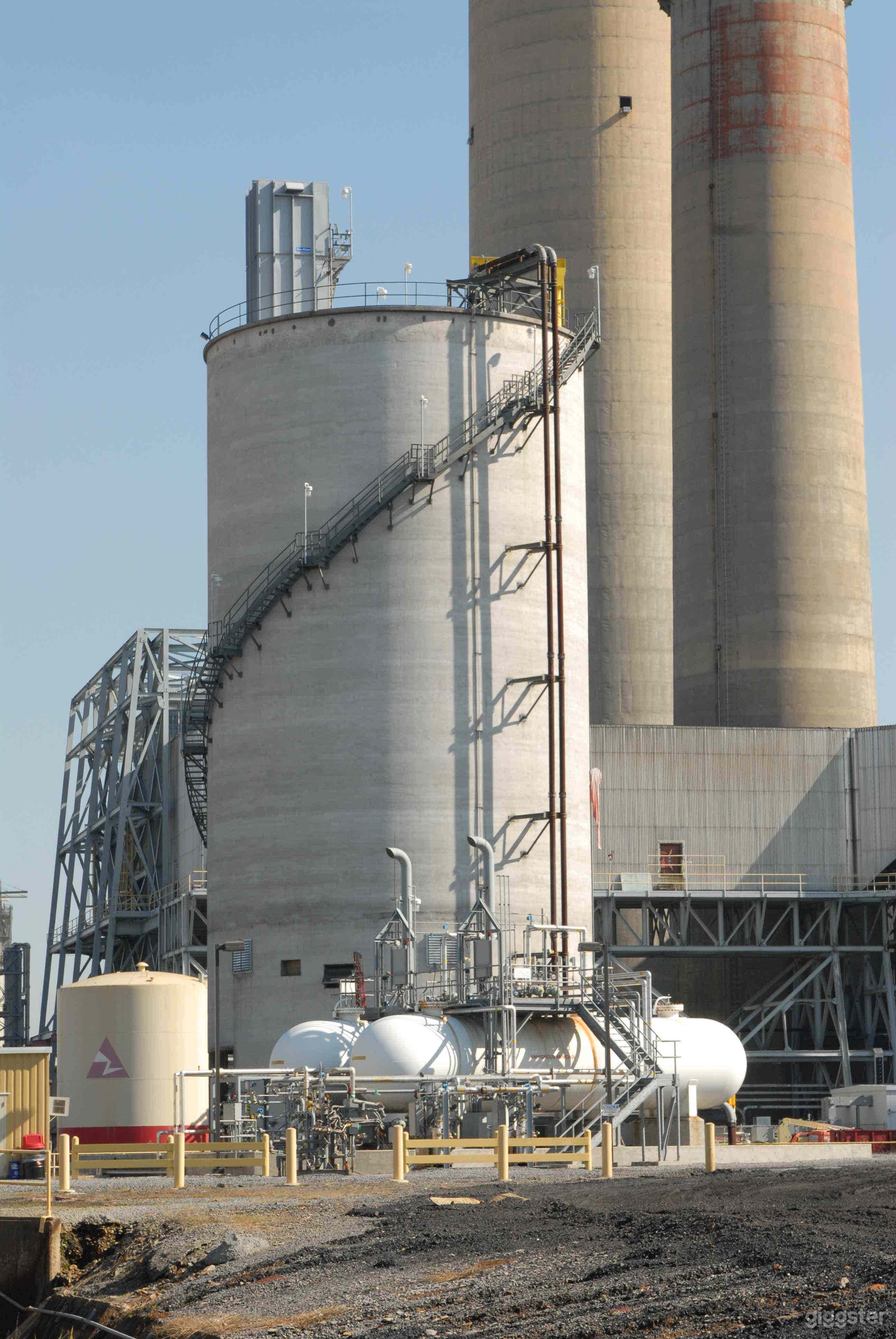 Plant in Floyd County Photo 1