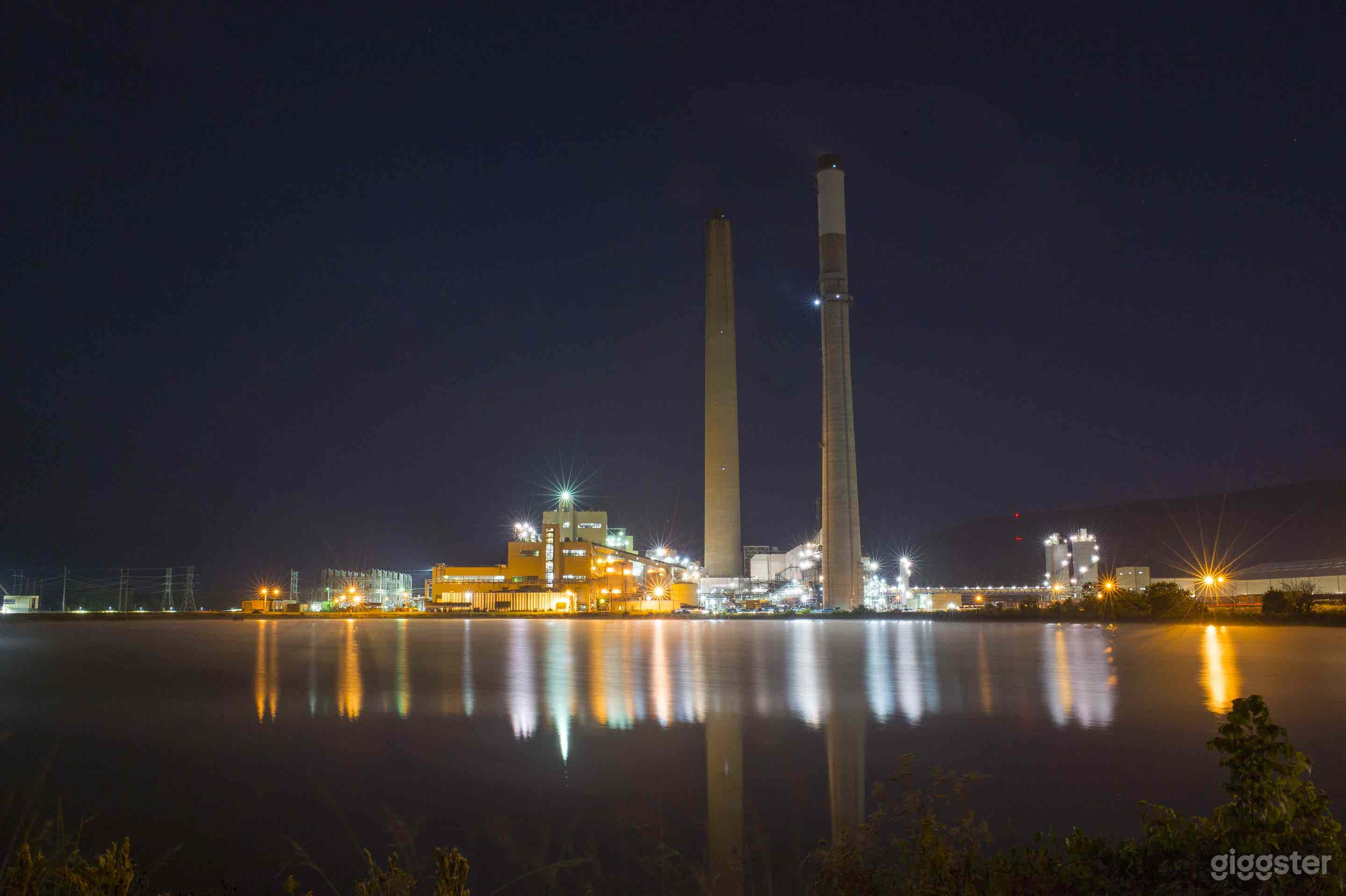 Plant in Floyd County Photo 3