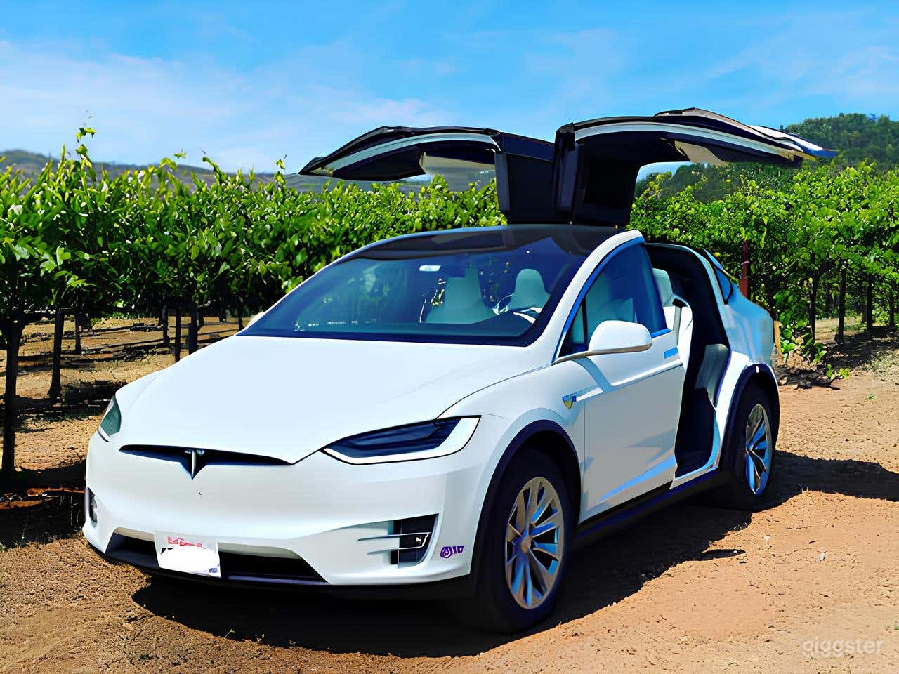 All-White Tesla Model X  Photo 1
