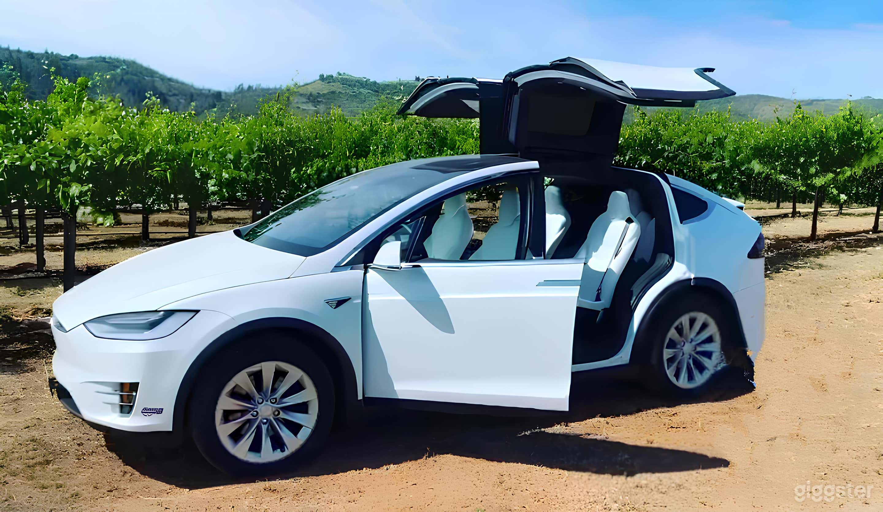 All-White Tesla Model X  Photo 2