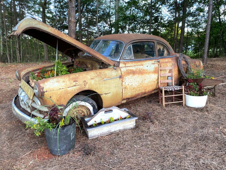  Meet Betty!  Sanctuaire Atelier&#x27;s 1950 Pontiac Chieftan that has been repurposed to be a photo backdrop &amp; garden scape. 