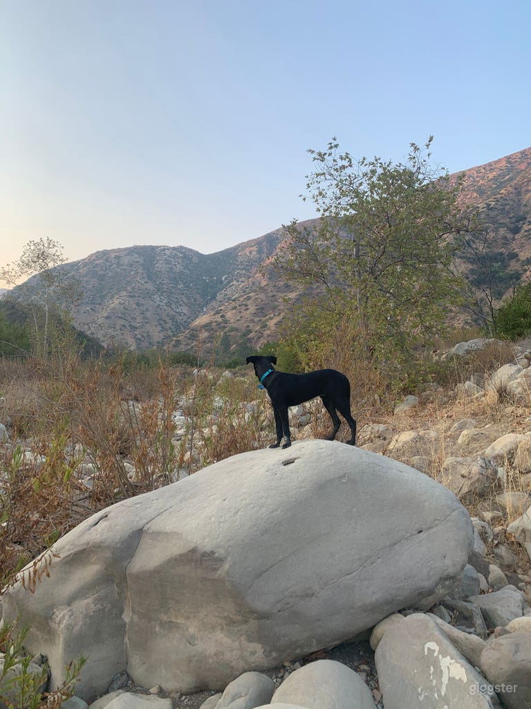  Hidden gem in the Ojai Valley 