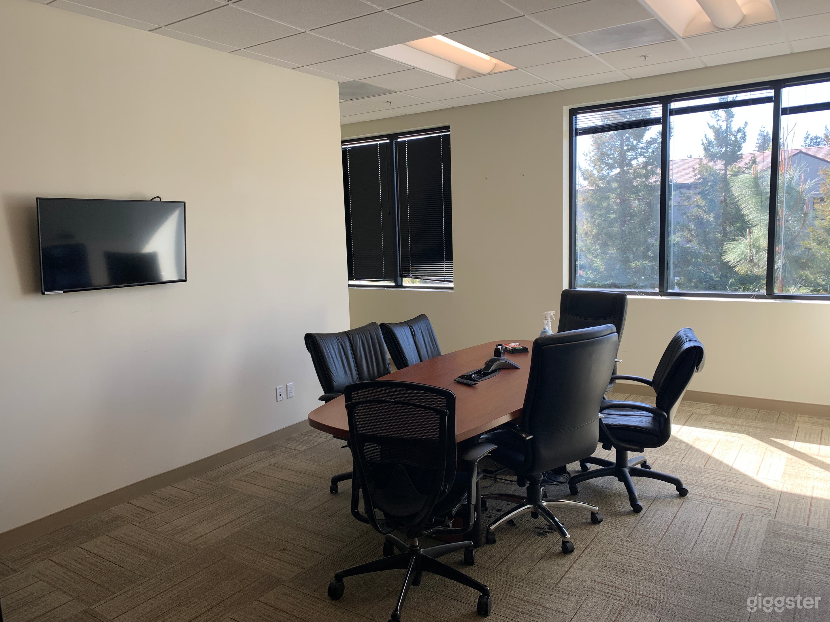 VC Meeting Room Photo 1