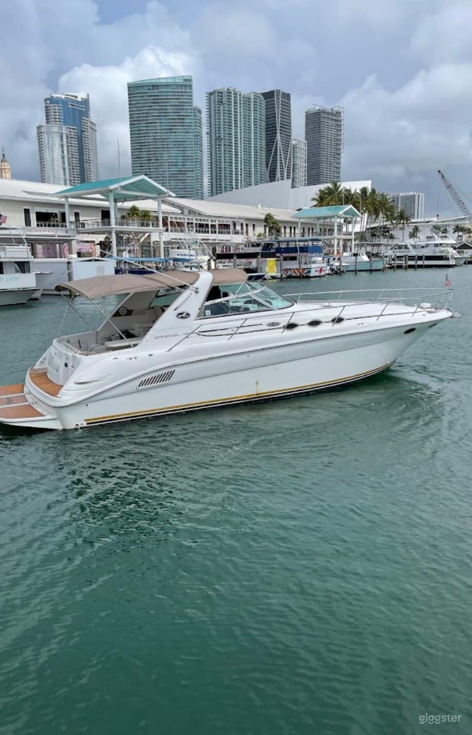 40' Sea Ray Yacht Photo 1