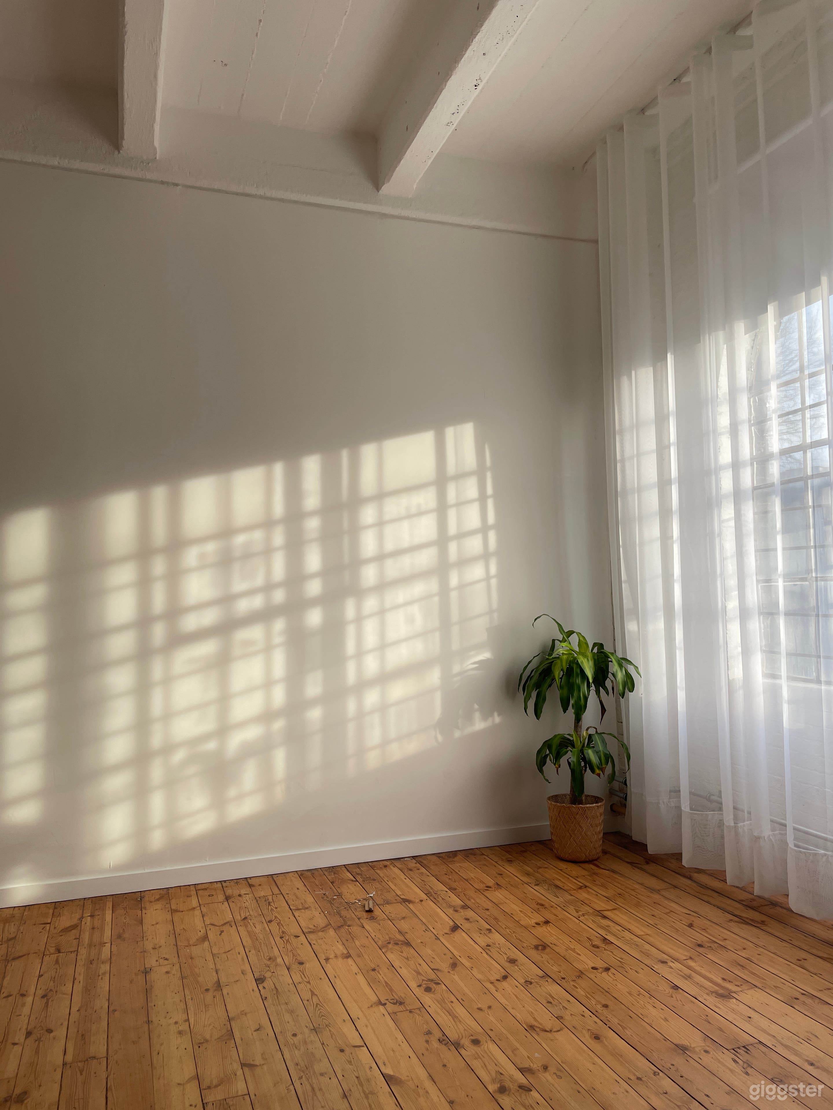 Beautiful Daylight streaming onto our walls in the afternoon.