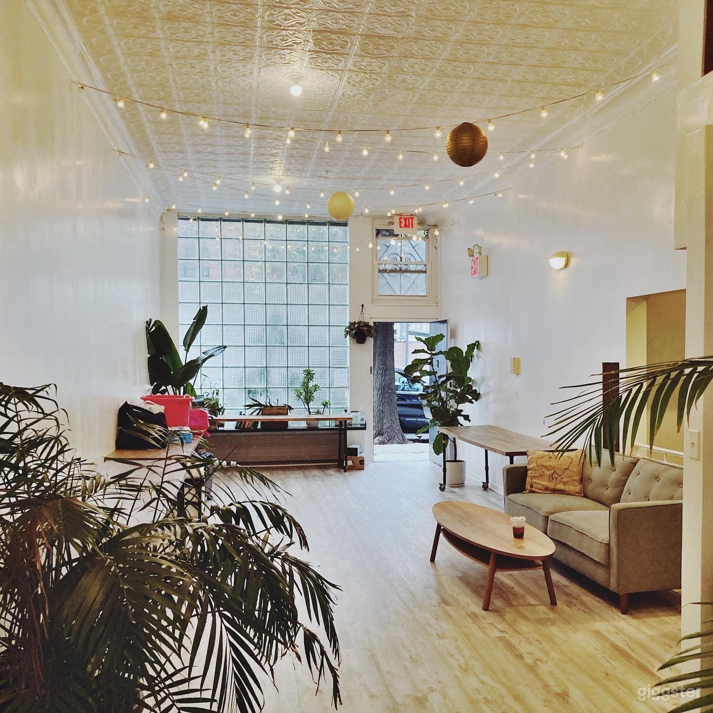 Our front room filled with warm afternoon sunlight through the large window wall! 