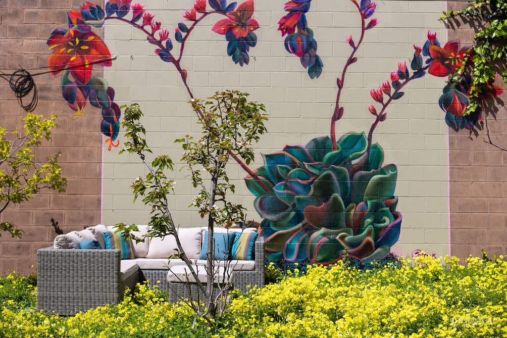 Lovely Large Orchard (Outdoor Space) Photo 3